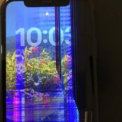 I phone, come riportato da U-OV Utrecht utilizzando iLost