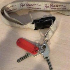 Nøkler Nemef, som rapportert av Gemeente Renkum ved bruk av iLost