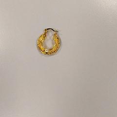 Náušnica Goud, ako bolo nahlásené Vrije Universiteit Amsterdam pomocou iLost