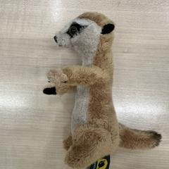 Knuffel Knuffel stokstaart, jak nahlášeno IKEA Eindhoven pomocí iLost