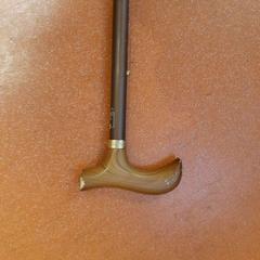 İLost kullanarak TCL tarafından bildirildiği gibi Canne marron