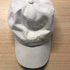 Pet, zgłoszono przez Pathé Tilburg przy użyciu iLost