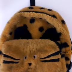 Ryggsäck, rapporterat av Arriva Limburg Zuid med iLost