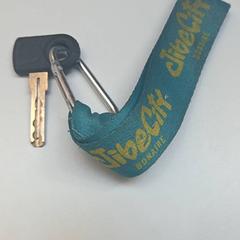 Bicycle key, as reported by Gemeente Zutphen using iLost