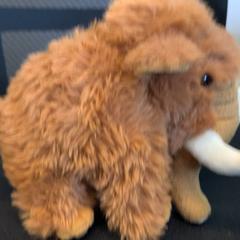 Knuffel, como reportado por Eindhoven Airport utilizando o iLost