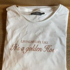 Tshirt, ako bolo nahlásené Van der Valk Hotel Kasteel TerWorm pomocou iLost