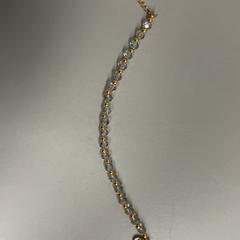 Bracelet goud, a été signalé par Burgers' Zoo utilisant iLost