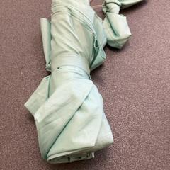 Parapluie Mint, a été signalé par Schönbrunn "Group Center" utilisant iLost