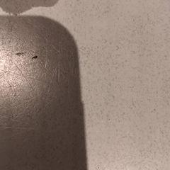 Knuffel, as reported by De Efteling using iLost