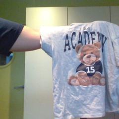Camicia gris ours, come riportato da MEININGER Hotel Lyon Centre Berthelot utilizzando iLost