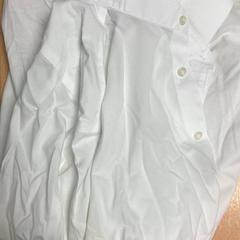 ポロシャツ がiLostで Sheraton Brussels Airport Hotel によって報告されました