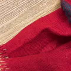 Sjaal, zoals gemeld door GVB met iLost