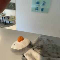 Bofetada de felpa Grijs, segundo informou Pinkpop usando iLost