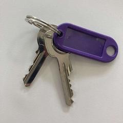 Giltza-giltza, gisa salatu by Gemeente Ede iLost erabiliz