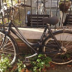 Fiets, iLost-i jakinarazi zaion moduan