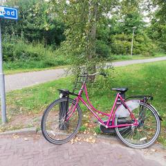 Damesfiets, as reported to iLost