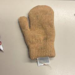 İLost kullanarak Burgers' Zoo tarafından bildirildiği gibi Eldiven hond