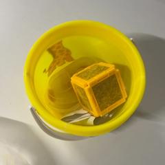 Kids playing toys, zoals gemeld door Silver Sands Beach met iLost