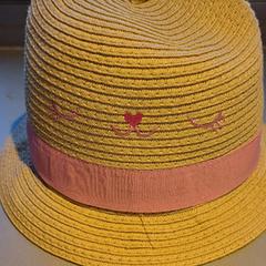 Hoedje, rapporterat av Madurodam med iLost