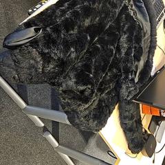 Veste, a été signalé par Gemeente Zutphen utilisant iLost