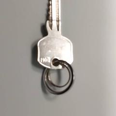 Key, as reported by Regio West-Vlaanderen using iLost