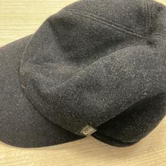 Pet, gemeldet von Hotel van der Valk Maastricht über iLost