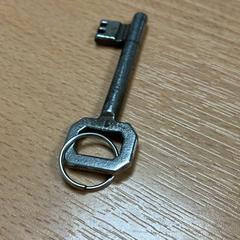 Key, as reported by Sheraton Brussels Airport Hotel using iLost