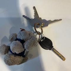 Klíče, jak nahlášeno Gemeente Amsterdam pomocí iLost