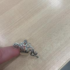 Prsten Zilver, jak nahlášeno IKEA Eindhoven pomocí iLost