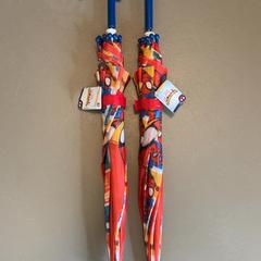 Umbrella Rood en blauw, as reported by Fenix using iLost