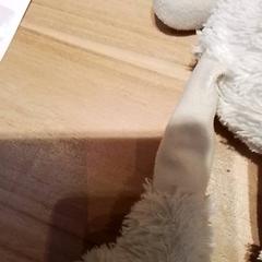 Knuffel Konijn, as reported by Beekse Bergen Resorts en Hotel using iLost