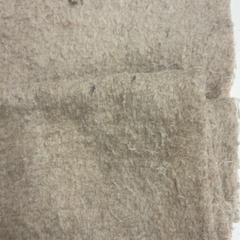 Xal, segundo informou GVB usando iLost