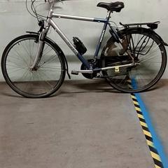 Bicykel Koga miyata Grijs blauw, ako bolo nahlásené Fietsdepot Hasselt pomocou iLost
