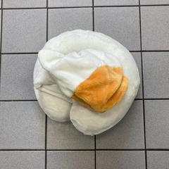 Neckpillow, como reportado por Ramada by Wyndham Amsterdam Airport Schiphol utilizando o iLost