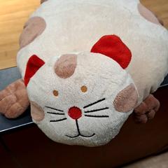 クッション がiLostで IKEA Paris Nord Roissy によって報告されました