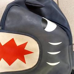 Batoh, jak nahlášeno Centraal magazijn pomocí iLost