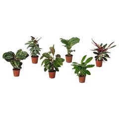 Producto IKEA BLADVERK, ha sido reportado por IKEA Valencia con iLost