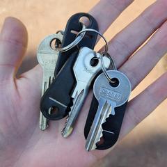 Sleutelbos, amint azt az iLostnak jelentették.