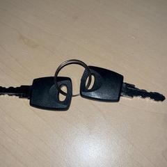 Chiave, come riportato da Jaarbeurs utilizzando iLost