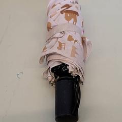 Esernyő, amint azt Transdev Gooi en Vechtstreek az iLost segítségével jelentette.