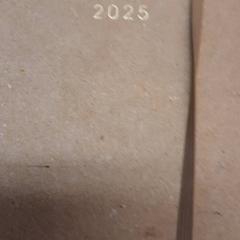 İLost kullanarak UvA REC tarafından bildirildiği gibi Gündem