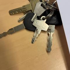 İLost kullanarak RET tarafından bildirildiği gibi Anahtarlar