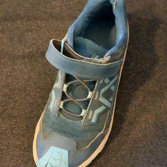 Shoe, as reported by Artis using iLost