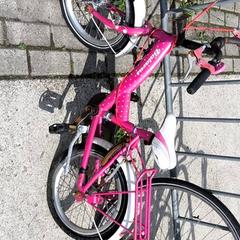 Bicicleta infantil batavus, segons ha informat Stadswerk072 mitjançant iLost
