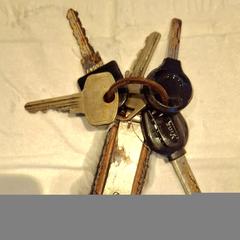 Sleutelbos, ha sido reportado a iLost