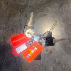 Sleutelbos, iLost에 보고됨