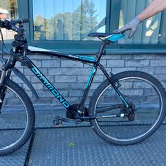 Herenfiets Diamond, zgłoszono przez Gemeente Zonhoven przy użyciu iLost