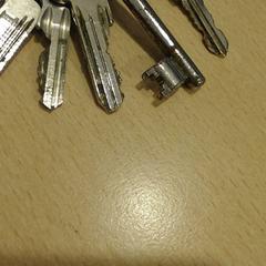 Nyckelring, rapporterat av Walibi Holland med iLost