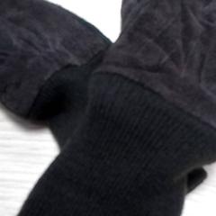 Gants Bruin, a été signalé par Qbuzz Fryslân utilisant iLost