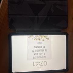 Ipad, as reported to iLost